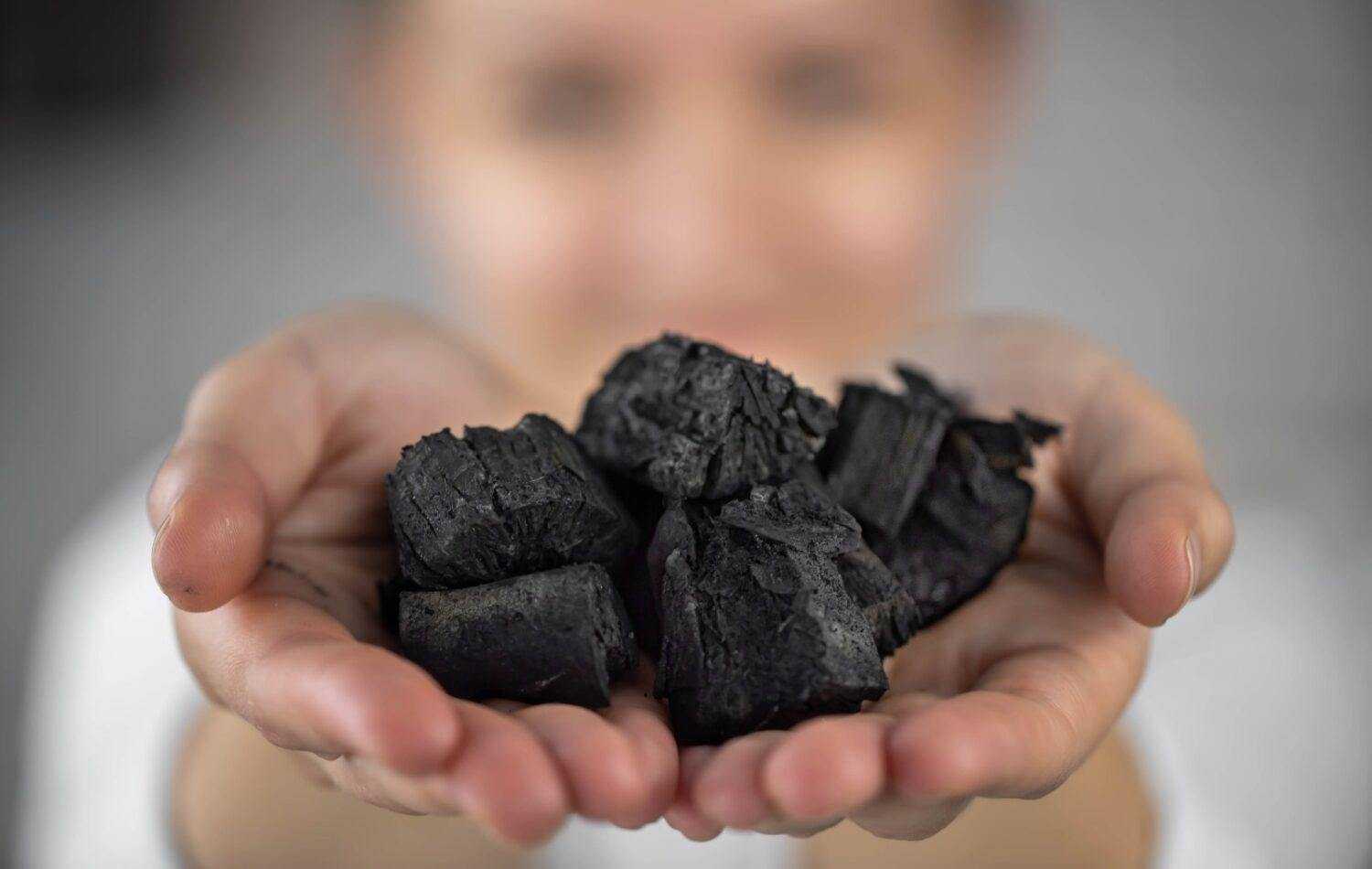 Edible Charcoal: Homemade Recipe For Your Taste Buds 